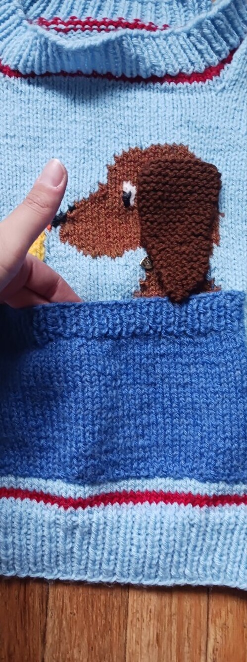 Handknit Puppy Sweater - Picture 3 of 4